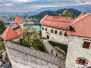 Blejski grad – popravilo strehe, zaščita pred golobi