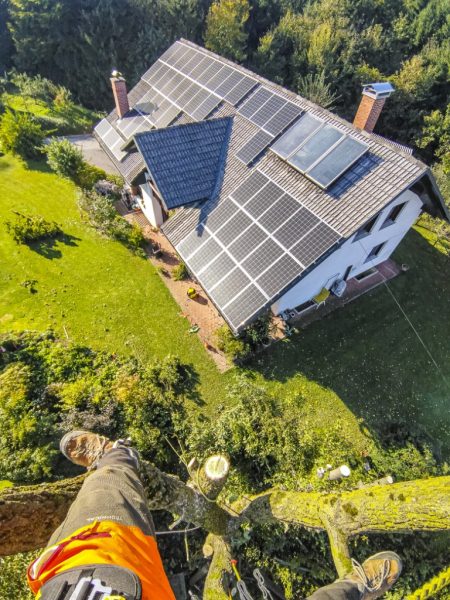 IMG_20231006_154918416 (1)